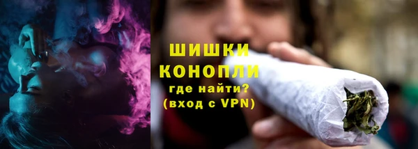 гидра Горно-Алтайск