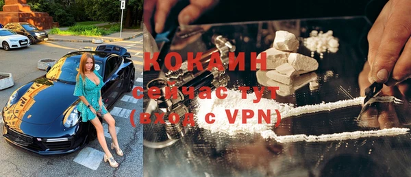 прущие грибы Вязьма
