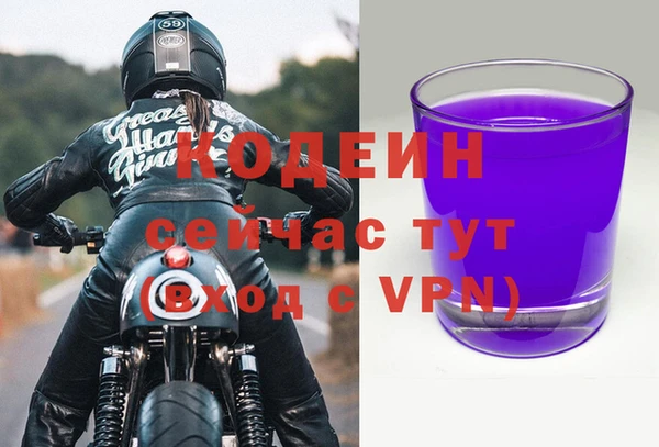 2c-b Гусев