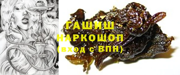 гидра Горно-Алтайск