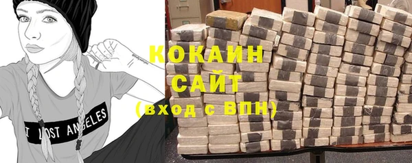 гидра Горно-Алтайск