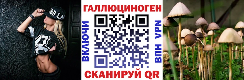 Псилоцибиновые грибы GOLDEN TEACHER  Дмитров 